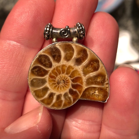 Ammonite & Sterling Silver Pendant - Picture 6 of 8